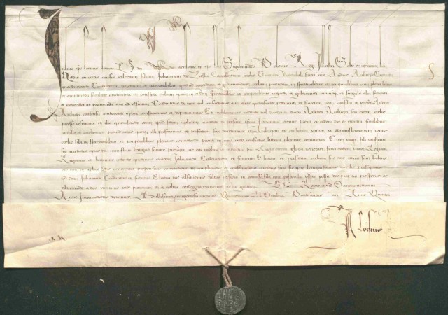 Bulla Juliusza II zatwierdzająca Jana Łaskiego jako koadiutora arcybiskupstwa gnieźnieńskiego
Archiwum Główne Akt Dawnych w Warszawie, Perg 4419